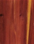 Aromatic Cedar Plywood